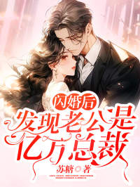 全本闪婚后发现老公是亿万总裁舒言纪凌川最新章节小说