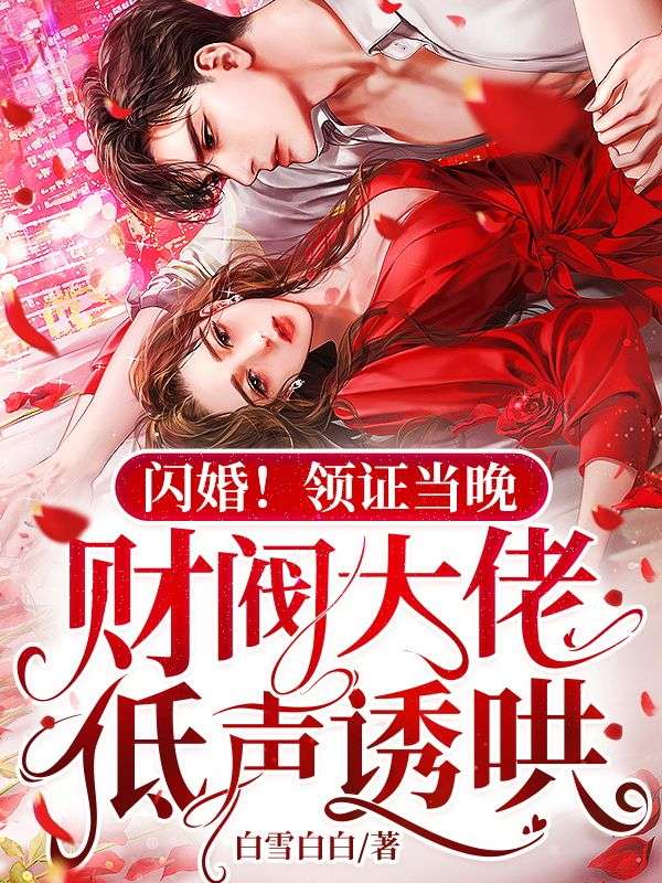 闪婚！领证当晚，财阀大佬低声诱哄的小说(江晚陆辞年）