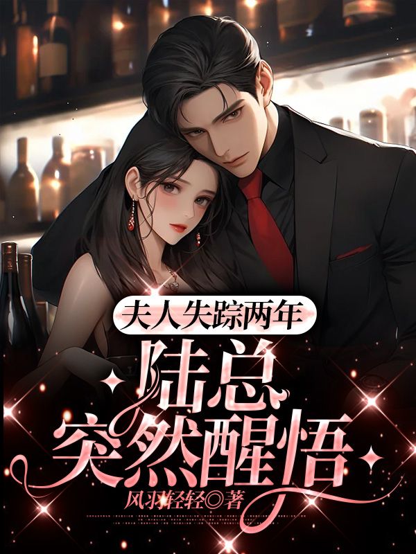 陆泽乔熏的小说名字(夫人失踪两年，陆总突然醒悟)完结结局阅读