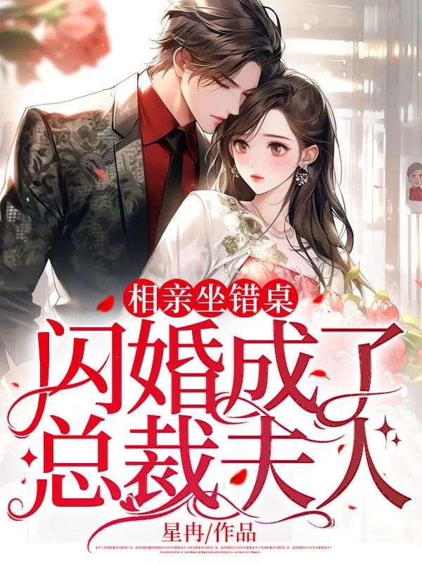 相亲坐错桌闪婚成了总裁夫人安柠宴时琛(星冉)