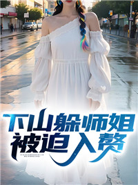 下山躲师姐,被迫入赘免费阅读全文小说叶南林清柔(无弹窗)
