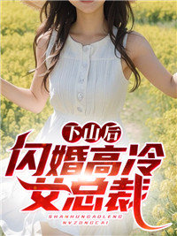 下山后闪婚高冷女总裁全文免费阅读(叶昊苏冰岚)