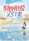 似曾相爱又归来小说免费阅读全文无弹窗(畅读佳作推荐)