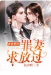 夜夜燃情:罪妻求放过无弹窗广告(蓝碧晴)小说免费阅读全文