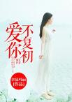 言情小说《爱你不复初》全集小说免费看(霍远凡/肖灿)