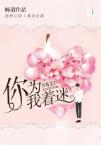 贺寒川向晚/他为我着迷小说免费阅读(贺先生，好久不见 )