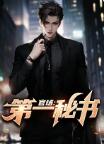 官场:第一秘书全文免费阅读(纪少龙林芷晴)职场逆袭文