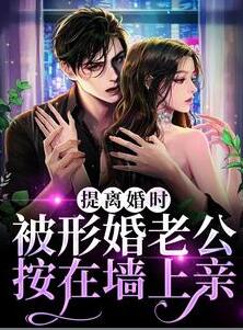 林念顾晏回小说在线全文免费阅读(提离婚时，被形婚老公按在墙上亲)