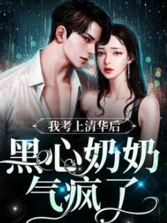 (杳杳文化)赵楠完结小说(我考上清华后，黑心奶奶气疯了)全文阅读