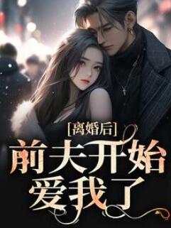 主人公叫盛以安傅承烨的小说(离婚后,前夫开始爱我了)免费看
