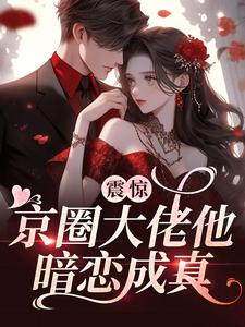 震惊，京圈大佬他暗恋成真免费阅读全文闵恩夏靳泽希