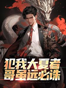 《犯我大夏者,哥虽远必诛》小说主角叶无畏章节免费在线阅读