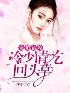 宠婚错嫁:冷少请吃回头草 辣片小说免费阅读全文(顾安凝冷锋)