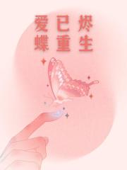 爱已烬,蝶重生全本小说在线阅读无弹框(陆明宋瑶)完结版